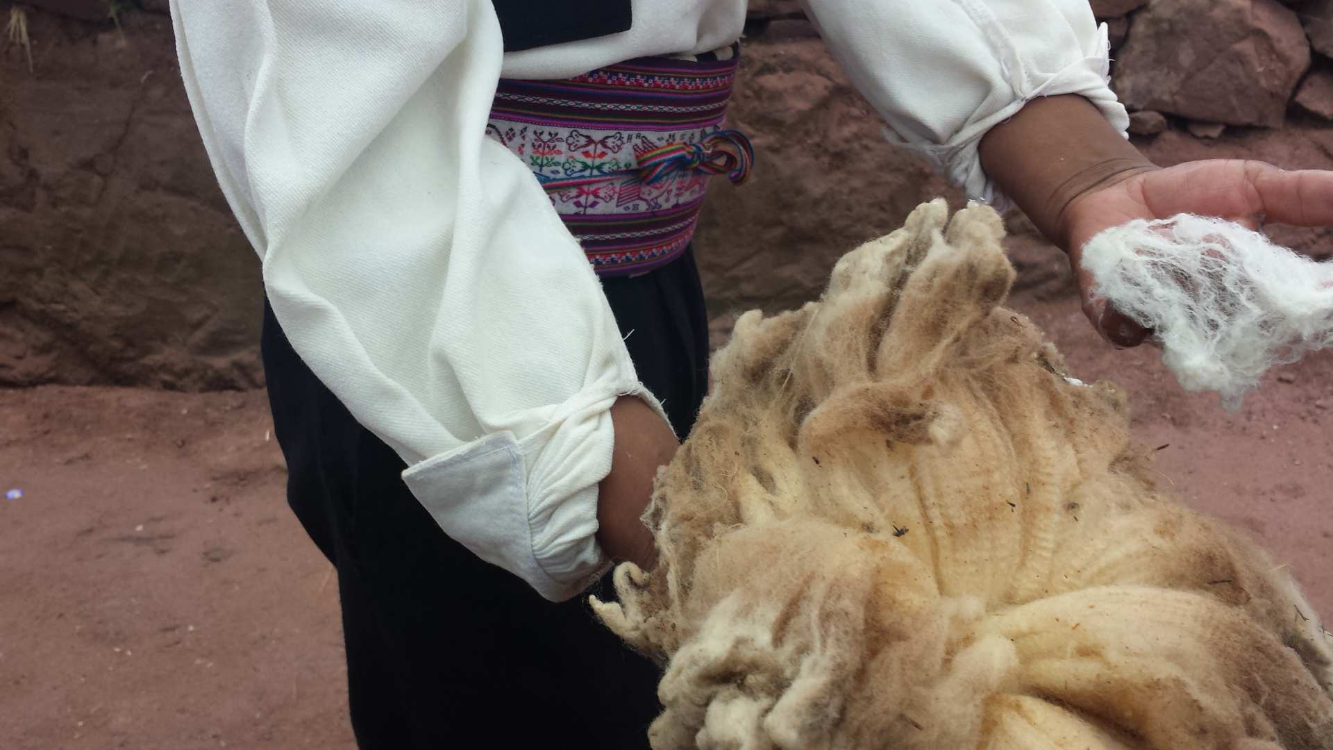 https://infromtheoutpost.com Andean sheep shearing at Lake Titicaca, Peru (A Bragagnini) https://infromtheoutpost.com